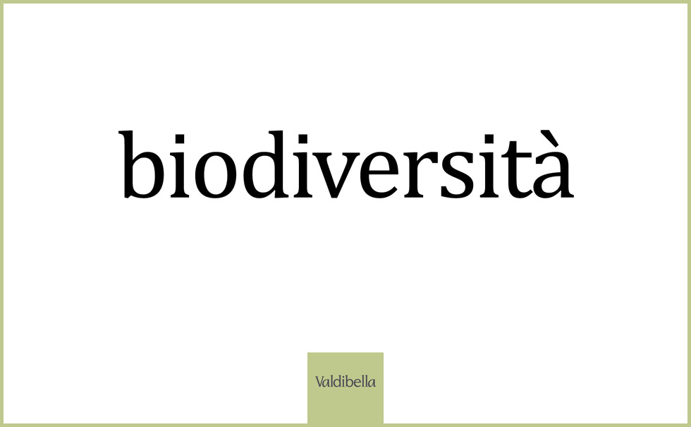 biodiversità