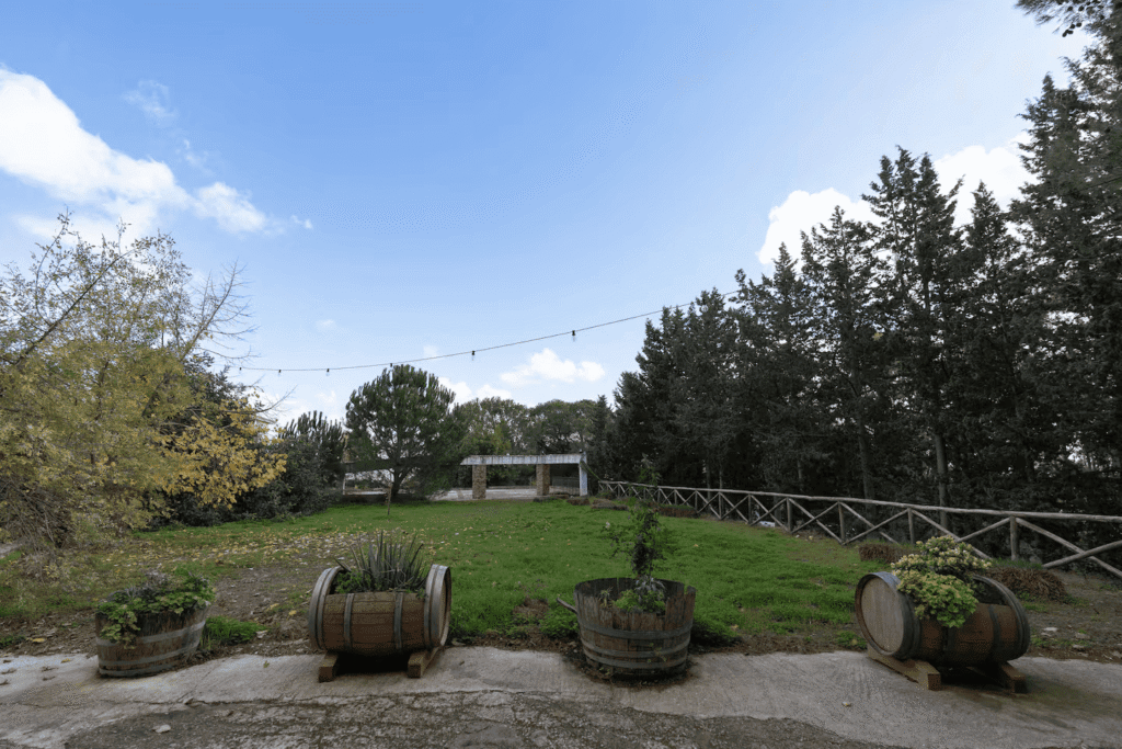 esterno soggiorno valdibella con prato e alberi verdi